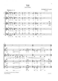 Tel (Laszlo Dubrovay) 