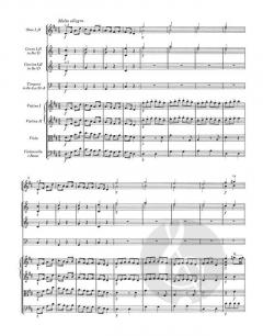 Sinfonie Nr. 7 D-Dur KV 45 von Wolfgang Amadeus Mozart 