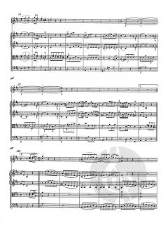 Sinfonie Nr. 14 A-Dur KV 114 von Wolfgang Amadeus Mozart 