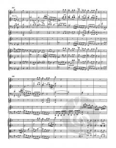 Klavierkonzert Nr. 19 F-Dur KV 459 von Wolfgang Amadeus Mozart 