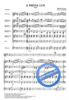 A Media luz von Balthazar Donato 