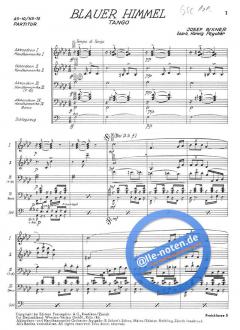 Blauer Himmel von Joe Rixner 