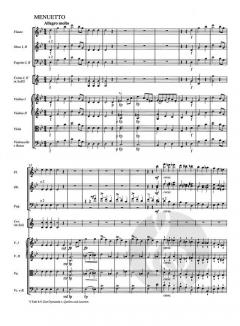 Sinfonien Nr. 4-6 von Franz Schubert 