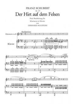 Hirt auf dem Felsen von Franz Schubert 