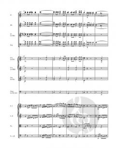 Sinfonie Nr. 4 D 417 von Franz Schubert 