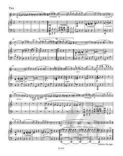 Sonate für Violine und Klavier D 574 op. post.162 von Franz Schubert im Alle Noten Shop kaufen