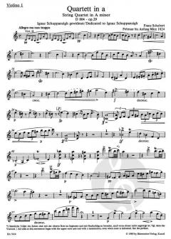 Streichquartett a-Moll & c-Moll von Franz Schubert im Alle Noten Shop kaufen