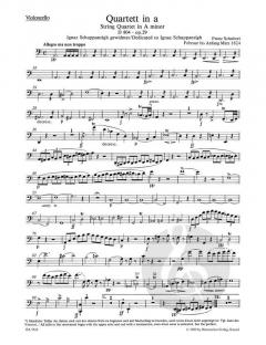 Streichquartett a-Moll & c-Moll von Franz Schubert im Alle Noten Shop kaufen