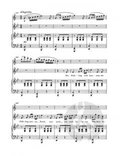 Der Hirt auf dem Felsen D 965 op.post.129 (Franz Schubert) 