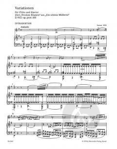 Variationen D 802 op. post.160 von Franz Schubert 