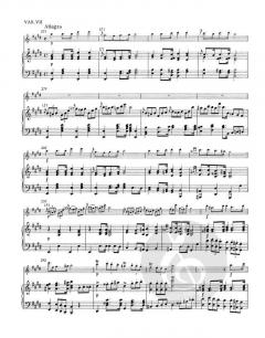 Variationen D 802 op. post.160 von Franz Schubert 