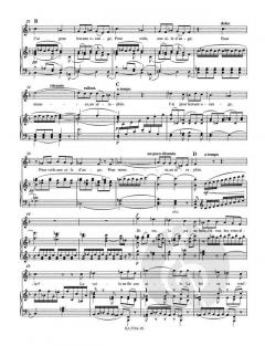 Les nuits d'été, 2. Version von Hector Berlioz 