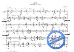 Hoax von Michel Roth 