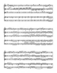 Concerto d-Moll TWV 43:d2 von Georg Philipp Telemann (Download) 