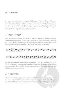 Practising Etudes - Commentary von Gerhard Mantel 