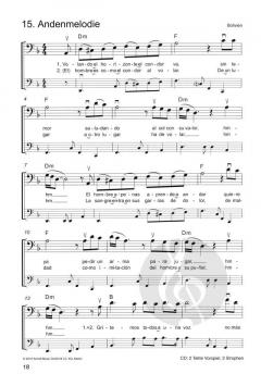 Die schönsten Folksongs 