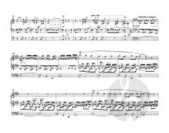 Ausgewählte Orgelwerke von Cesar Franck im Alle Noten Shop kaufen