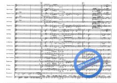 A Swiss Folk Fantasy (Goff Richards) 