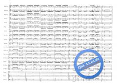 Those Magnificent Men In Their Flying Machines (Ron Goodwin) 