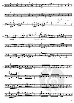 Einführung in das Lagenspiel von Anna Marton 