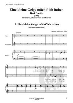 Eine kleine Geige möcht' ich haben von Ferdinand Bruckmann 