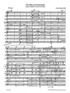 Der Weg nach Eisenstadt von Günter Bialas 