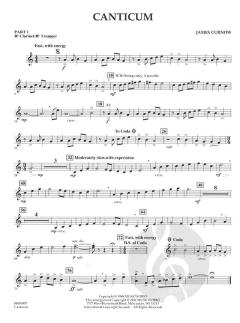 Canticum von James Curnow 