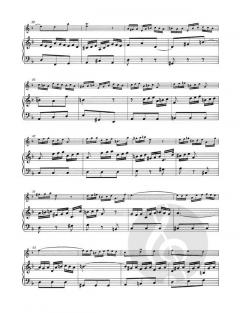 Sechs Sonaten nach BWV 525-530 Band 2 von Johann Sebastian Bach 