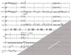 What Is Hip? von David Garibaldi 