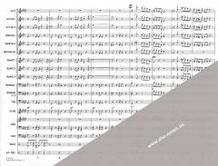 Hawaii Five-O Theme (Morton Stevens) 