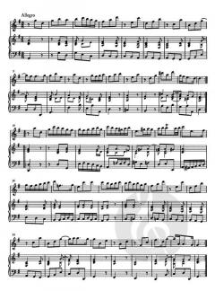 Sonate G-Dur für Flöte und Basso continuo HWV deest von Georg Friedrich Händel im Alle Noten Shop kaufen