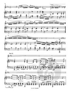 Thema mit Variationen für Flöte und Klavier op. post.142/3 von Franz Schubert im Alle Noten Shop kaufen