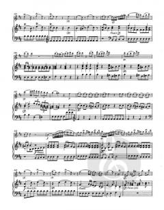 Konzert für Flöte und Streicher op. 27 von Luigi Boccherini im Alle Noten Shop kaufen