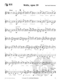 Musical Challenges for Violin von Wim Meuris im Alle Noten Shop kaufen