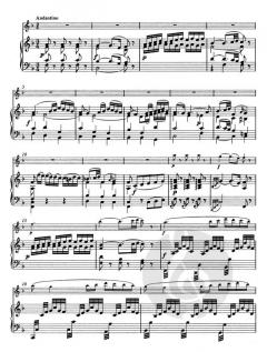 Konzert für Flöte und Klavier (Cembalo) von Wolfgang Amadeus Mozart im Alle Noten Shop kaufen