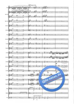 Reflection Of Colours 