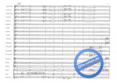 The Spirit Of Youth! (Goff Richards) 