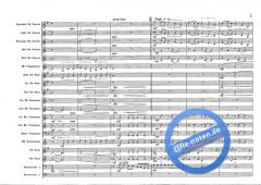 Going Home From 'The Local Hero' (Mark Knopfler) 