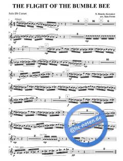 The Flight Of The Bumble Bee (Nikolai Rimski-Korsakow) 