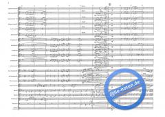 Chanson d'Amour (Wayne Shanklin) 