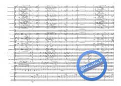 Chanson d'Amour (Wayne Shanklin) 