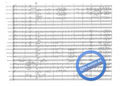 Chanson d'Amour (Wayne Shanklin) 