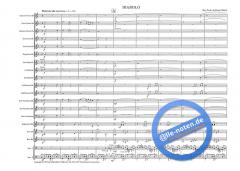 Diabolo von Darrol Barry 