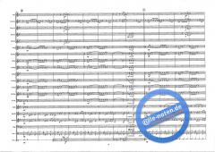 Rock The Funk (Alan Fernie) 