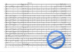 Rock The Funk (Alan Fernie) 