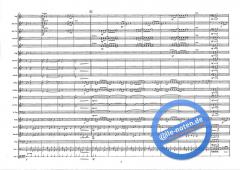 Rock The Funk (Alan Fernie) 