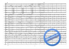 Rock The Funk (Alan Fernie) 