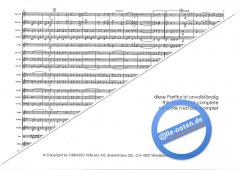 Nibelungen March On Themes By Richard Wagner (Richard Wagner) 