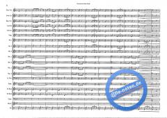 The Red And Blue Shield (Hans J. Honegger) 