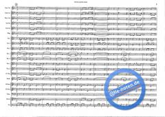 The Red And Blue Shield (Hans J. Honegger) 